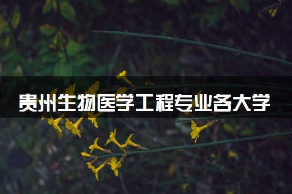 贵州生物医学工程专业各大学录取分数线：最低391分能上 开设院校及位次