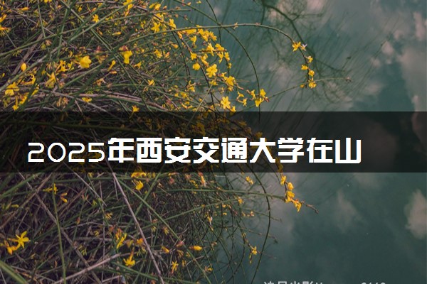2025年西安交通大学在山东招生代码及专业代码 西安交通大学山东代码是多少？怎么查询？