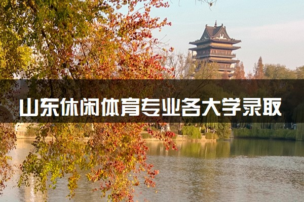 山东休闲体育专业各大学录取分数线：最低229分能上 开设院校及位次