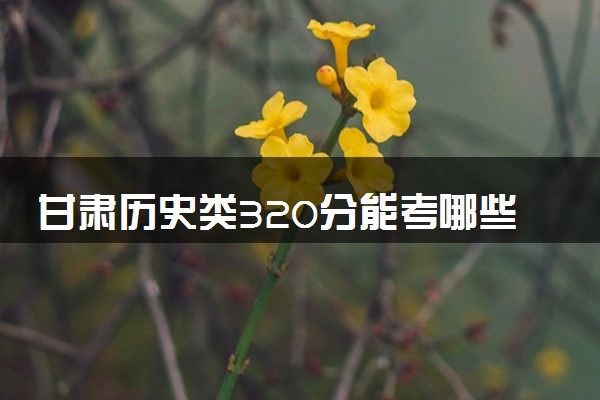 甘肃历史类320分能考哪些大学 2025考生稳上的大学名单