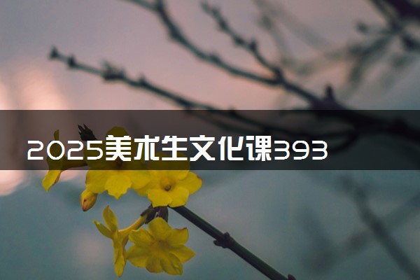 2025美术生文化课393分能上武汉纺织大学吗