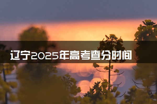 辽宁2025年高考查分时间公布 6月几号查询高考成绩及分数线