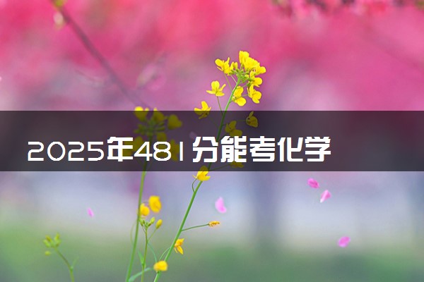 2025年481分能考化学工程与工艺专业吗 481分化学工程与工艺专业大学推荐