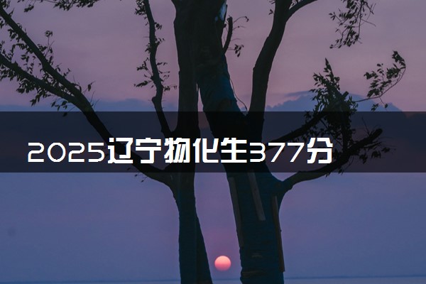 2025辽宁物化生377分左右能上什么大学 可以报考的院校名单