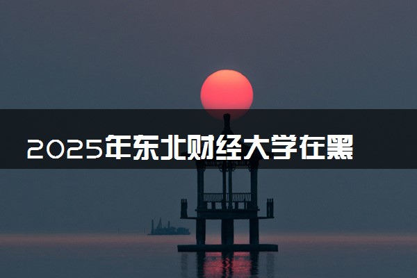 2025年东北财经大学在黑龙江招生代码及专业代码 东北财经大学黑龙江代码是多少？怎么查询？