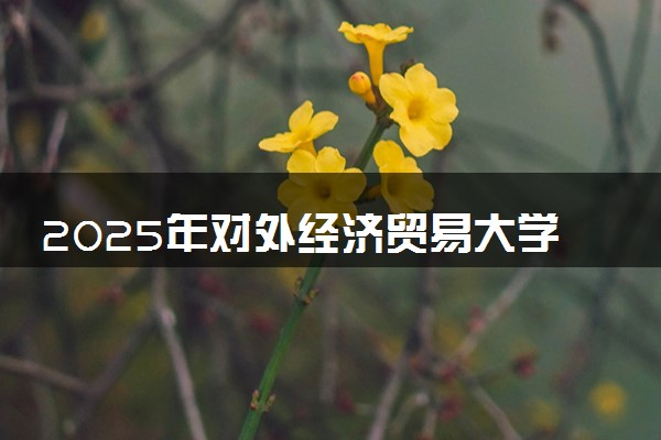 2025年对外经济贸易大学在宁夏招生代码：1111 专业代码及报考指南