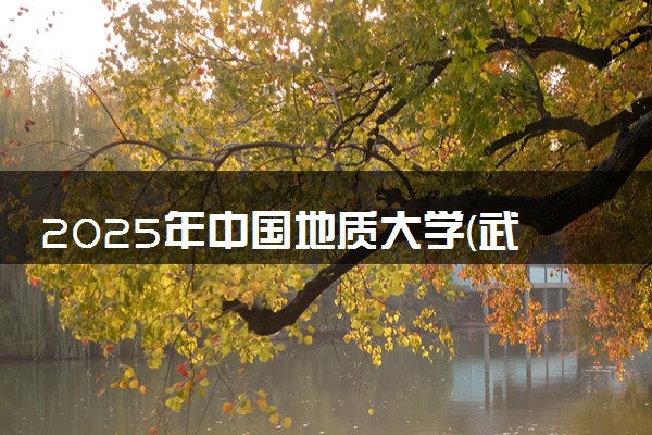 2025年中国地质大学(武汉)在天津招生代码及专业代码 中国地质大学(武汉)天津代码是多少？怎么查询？
