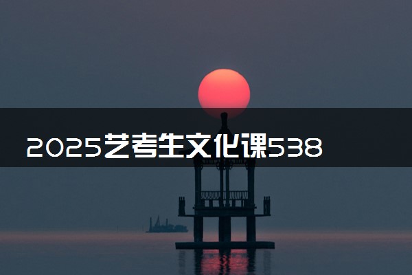 2025艺考生文化课538分能上苏州城市学院吗