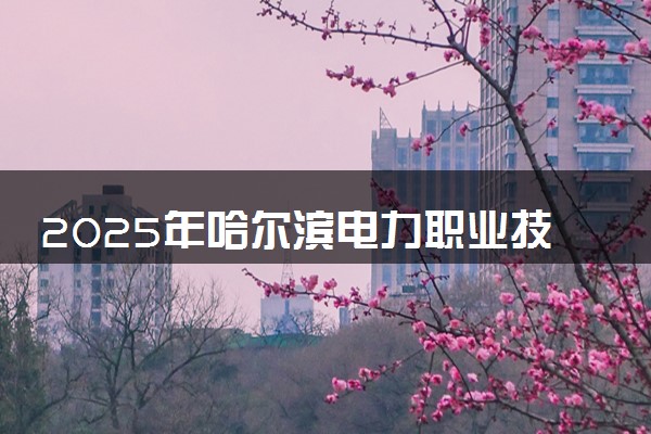 2025年哈尔滨电力职业技术学院在内蒙古招生代码及专业代码 哈尔滨电力职业技术学院内蒙古代码是多少？怎么查询？