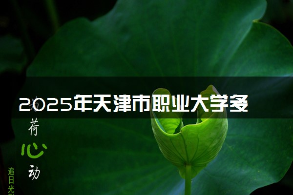 2025年天津市职业大学多少分能考上 最低分及位次