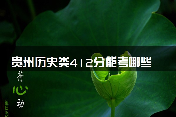 贵州历史类412分能考哪些大学 2025考生稳上的大学名单