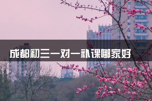 成都初三一对一补课哪家好