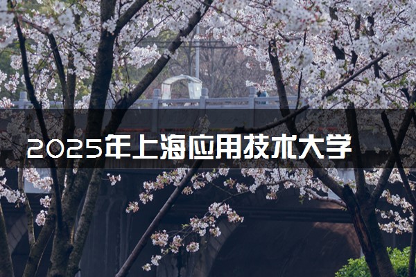 2025年上海应用技术大学在上海招生代码：122 专业代码及报考指南