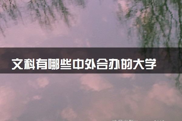 文科有哪些中外合办的大学 能读什么专业