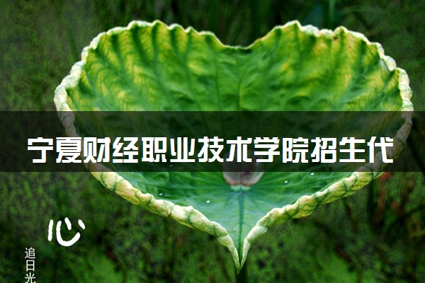 宁夏财经职业技术学院招生代码是多少 附专业代码对照表（2025参考）