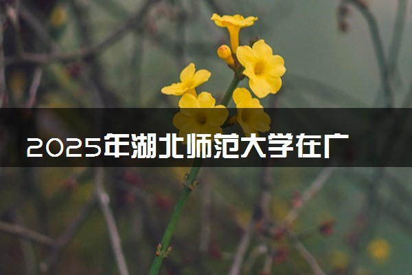 2025年湖北师范大学在广西招生代码及专业代码 湖北师范大学广西代码是多少？怎么查询？