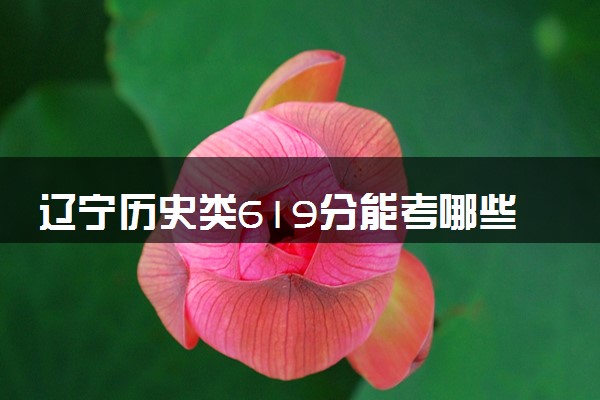 辽宁历史类619分能考哪些大学 2025考生稳上的大学名单