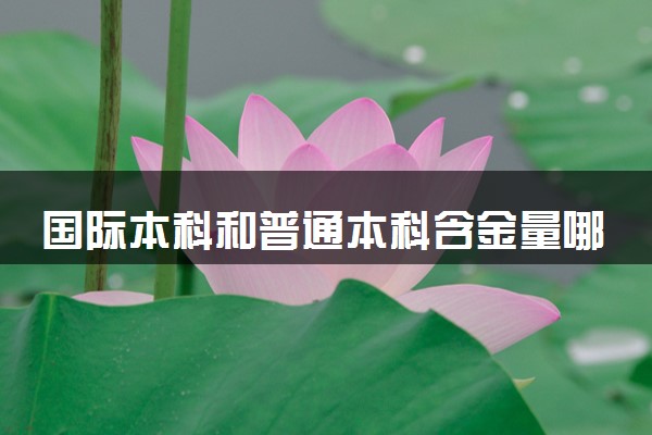 国际本科和普通本科含金量哪个高 有什么区别