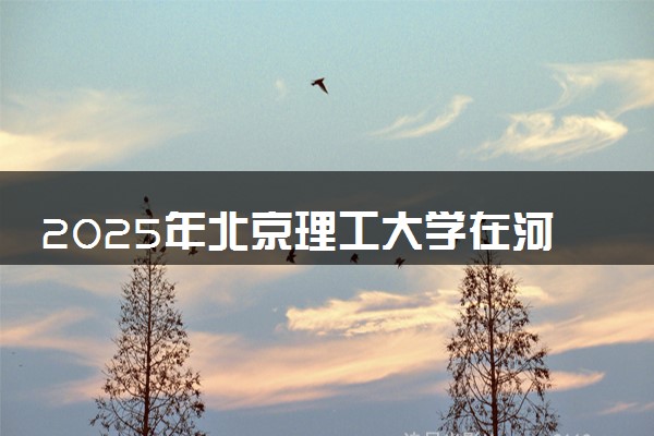 2025年北京理工大学在河南招生代码：1490 专业代码及报考指南