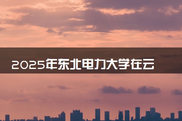 2025年东北电力大学在云南招生代码：2204 专业代码及报考指南