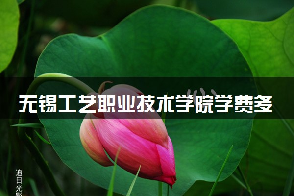 无锡工艺职业技术学院学费多少钱一年 各专业收费标准（2025年参考）