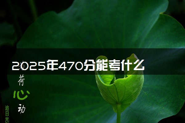 2025年470分能考什么师范类大学 哪些大学值得报