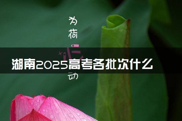 湖南2025高考各批次什么时候填报志愿 有几天时间