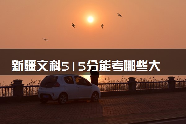 新疆文科515分能考哪些大学 2025考生稳上的大学名单