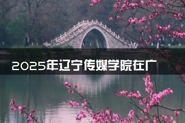 2025年辽宁传媒学院在广西招生代码：13957 专业代码及报考指南