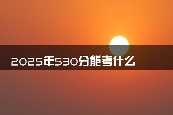 2025年530分能考什么政法类大学 哪些大学值得报
