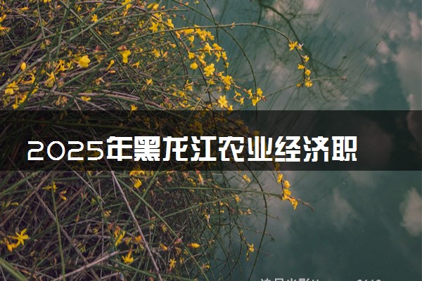 2025年黑龙江农业经济职业学院在青海招生代码：2224 专业代码及报考指南