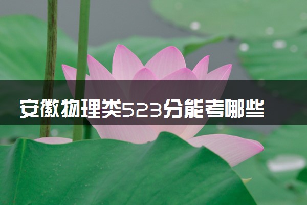 安徽物理类523分能考哪些大学 2025考生稳上的大学名单