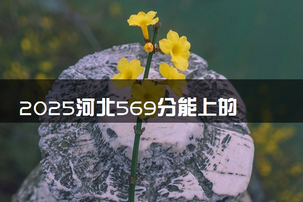 2025河北569分能上的大学有哪些 可以报考院校名单