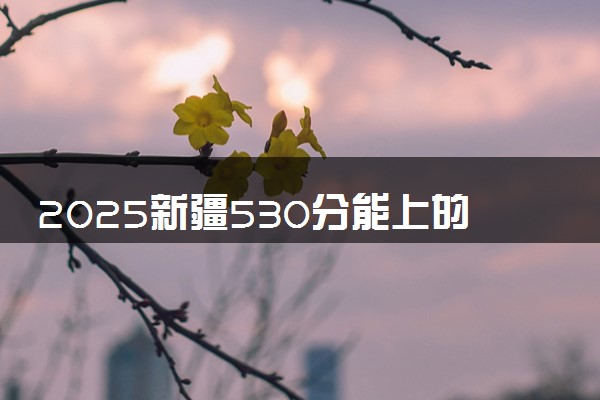 2025新疆530分能上的大学有哪些 可以报考院校名单