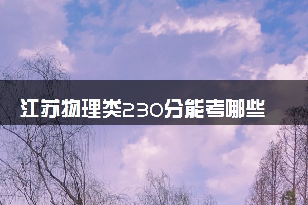 江苏物理类230分能考哪些大学 2025考生稳上的大学名单