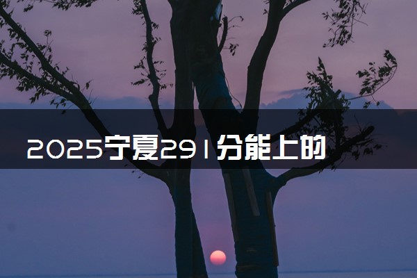 2025宁夏291分能上的大学有哪些 可以报考院校名单