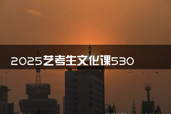 2025艺考生文化课530分能上江苏科技大学吗