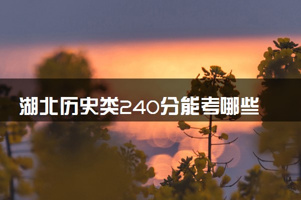 湖北历史类240分能考哪些大学 2025考生稳上的大学名单