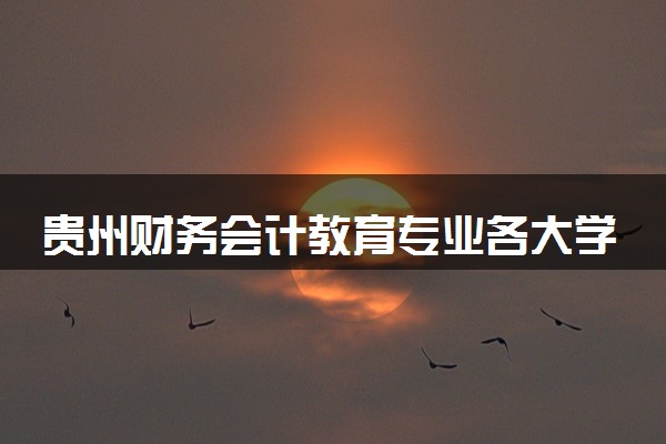 贵州财务会计教育专业各大学录取分数线：最低432分能上 开设院校及位次