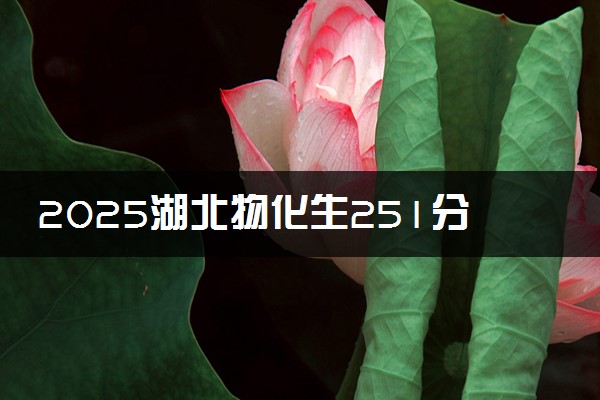 2025湖北物化生251分左右能上什么大学 可以报考的院校名单