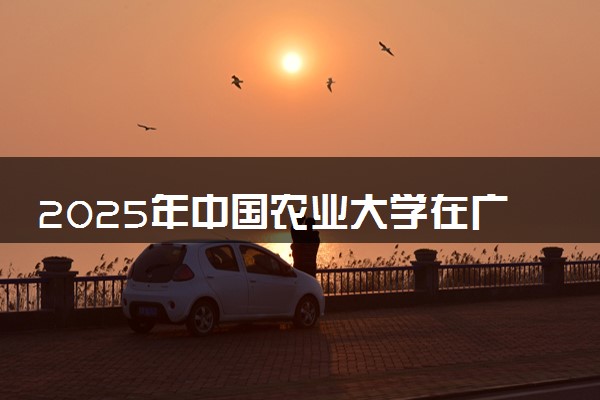 2025年中国农业大学在广西招生代码及专业代码 中国农业大学广西代码是多少？怎么查询？