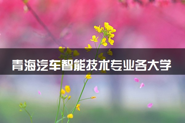 青海汽车智能技术专业各大学录取分数线：最低231分能上 开设院校及位次