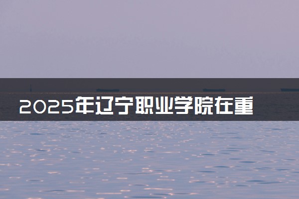 2025年辽宁职业学院在重庆招生代码：2156 专业代码及报考指南