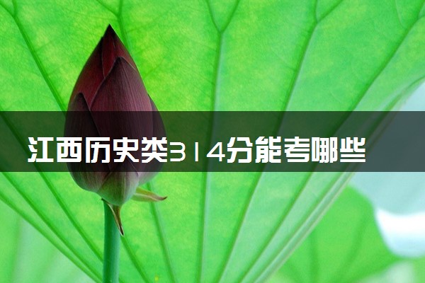 江西历史类314分能考哪些大学 2025考生稳上的大学名单