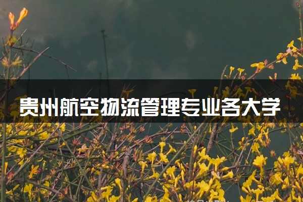 贵州航空物流管理专业各大学录取分数线：最低272分能上 开设院校及位次