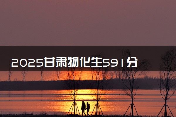 2025甘肃物化生591分左右能上什么大学 可以报考的院校名单