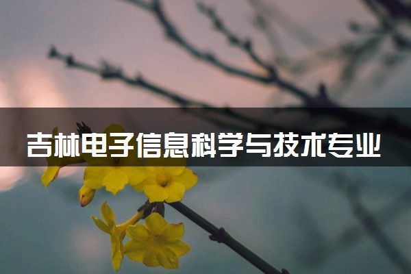 吉林电子信息科学与技术专业各大学录取分数线：最低373分能上 开设院校及位次
