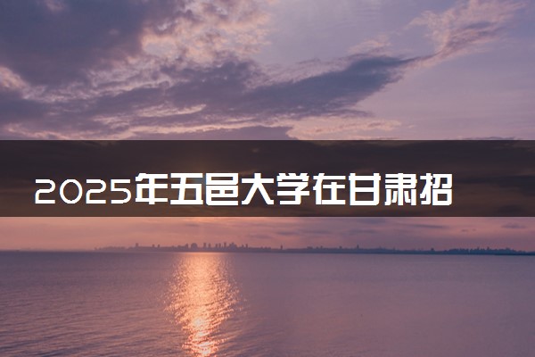2025年五邑大学在甘肃招生代码及专业代码 五邑大学甘肃代码是多少？怎么查询？