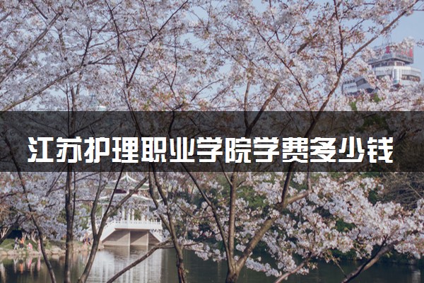 江苏护理职业学院学费多少钱一年 各专业收费标准（2025年参考）