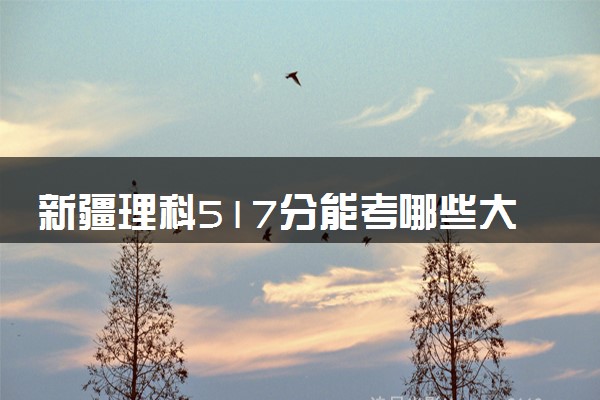 新疆理科517分能考哪些大学 2025考生稳上的大学名单